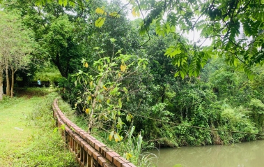 Bán nhanh lô đất hơn 3000m2 có 400m2 đất nhà ở tại Yên Bình - Thạch Thất - Hà Nội. Sổ đỏ chính chủ